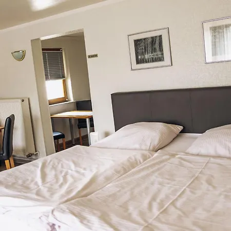 Pension Apart 3* Glashutten (Bayreuth)